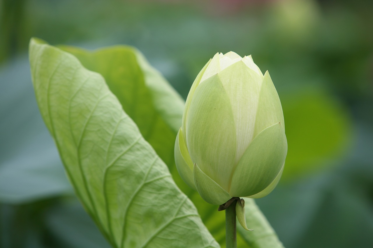 大地傳媒重組最新動態(tài)，重塑傳媒產(chǎn)業(yè)格局取得重大進展