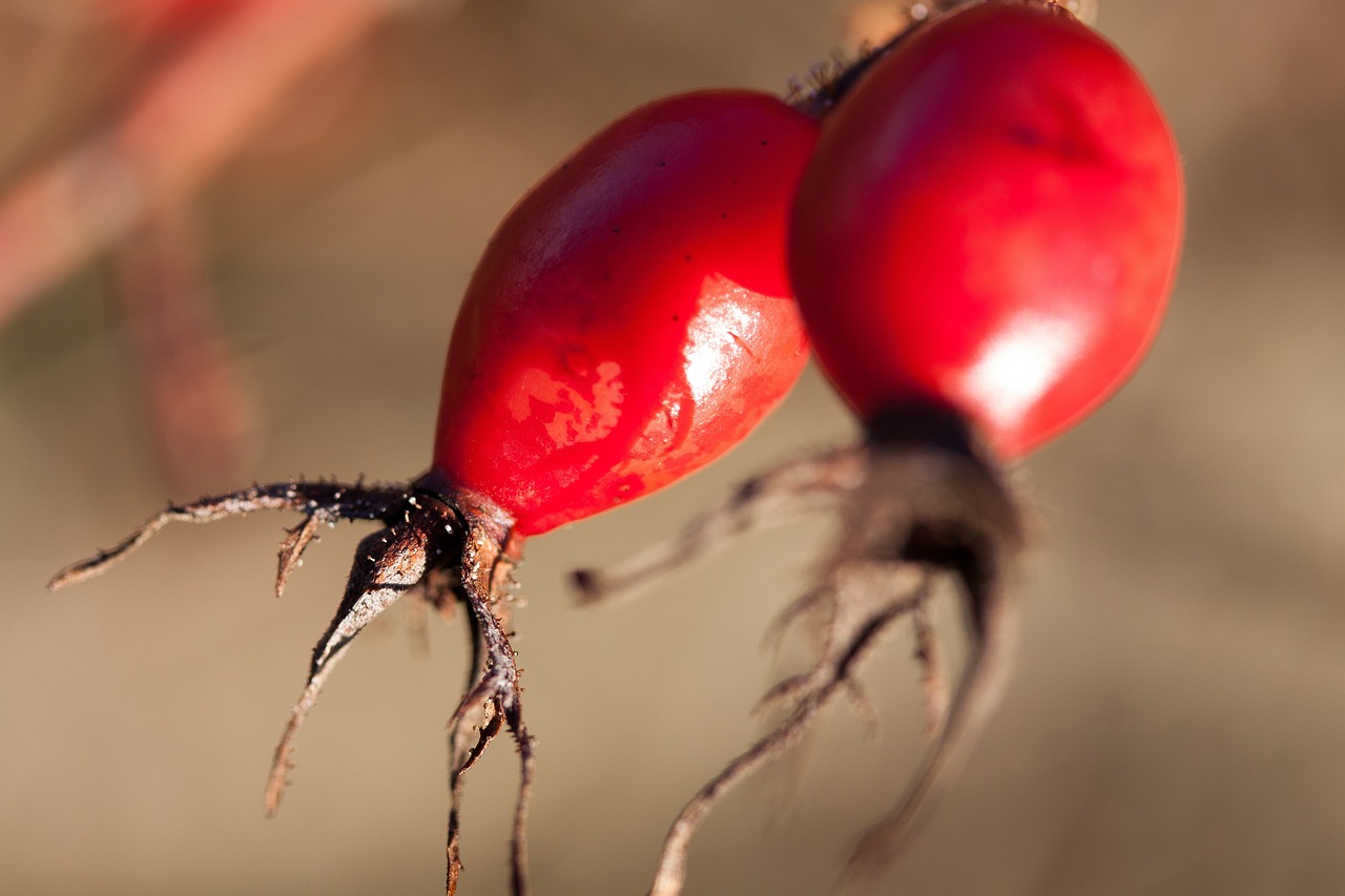 邳州工廠招工最新動態(tài)，探尋發(fā)展機遇，共筑美好未來