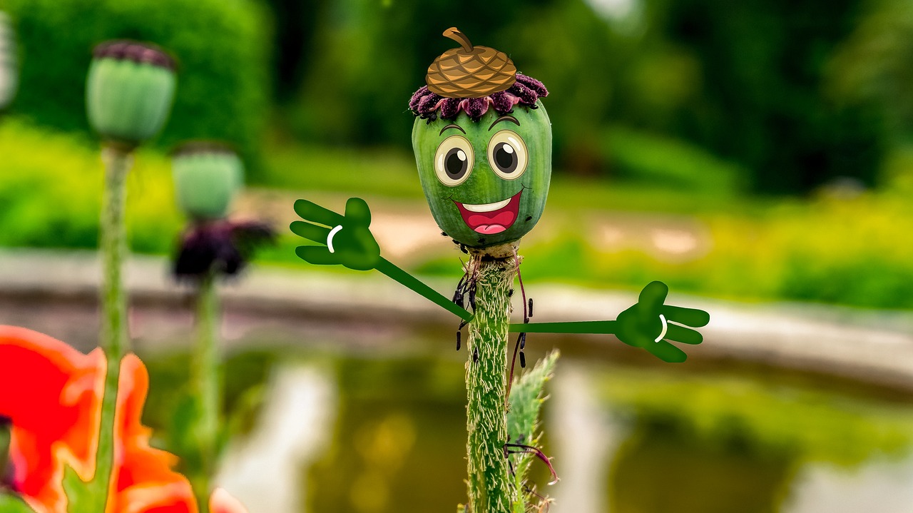 阿凡提下載免費(fèi)最新版，智慧與樂趣的完美融合體驗(yàn)