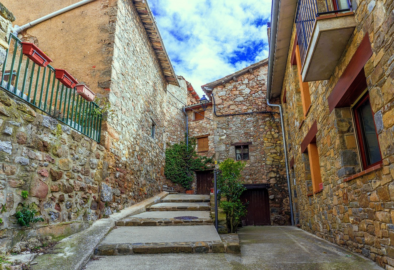 馮某針案最新進展深度探究，最新動態(tài)與情況更新（1.21版）