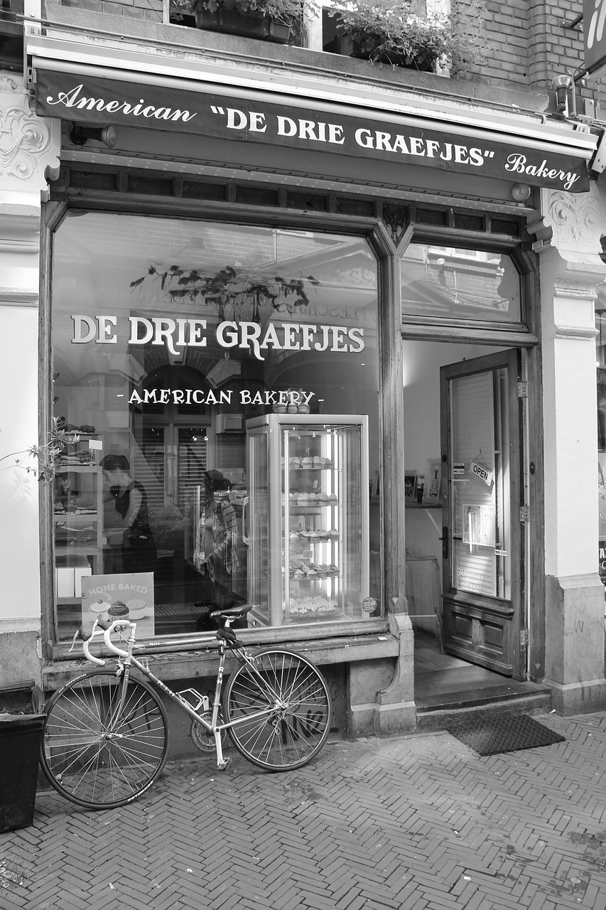 鳳翔湖濱世紀(jì)最新動態(tài)，成為城市發(fā)展的璀璨明珠