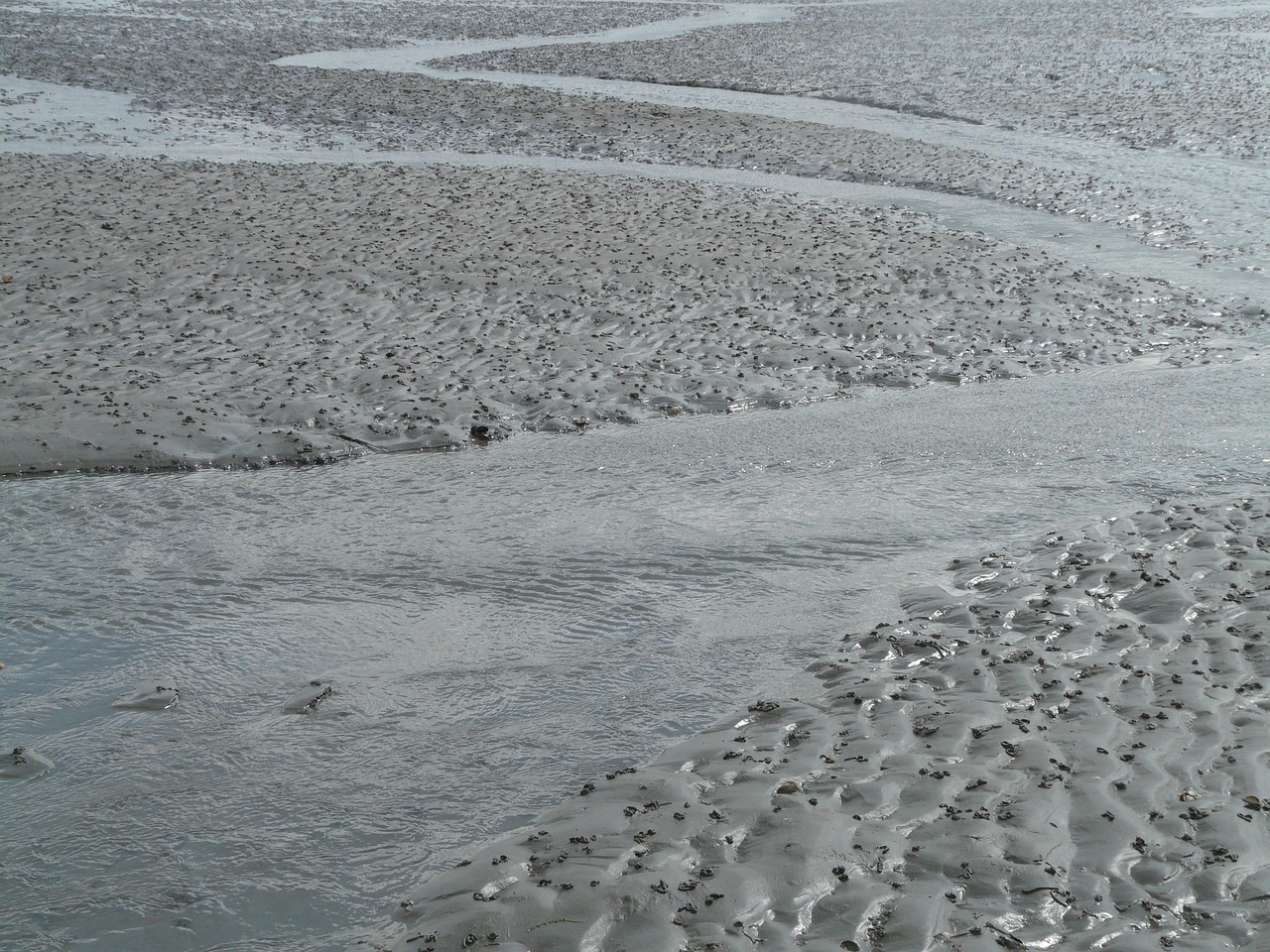 北海傳銷最新動態(tài)曝光，真相揭秘與風險警惕