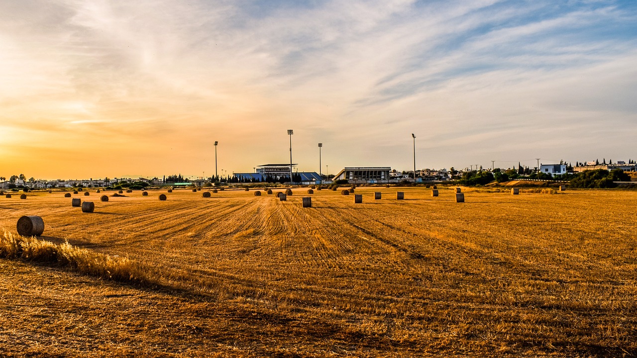 地稅機(jī)構(gòu)改革最新動(dòng)態(tài)，深化稅務(wù)改革，優(yōu)化服務(wù)以提升效率