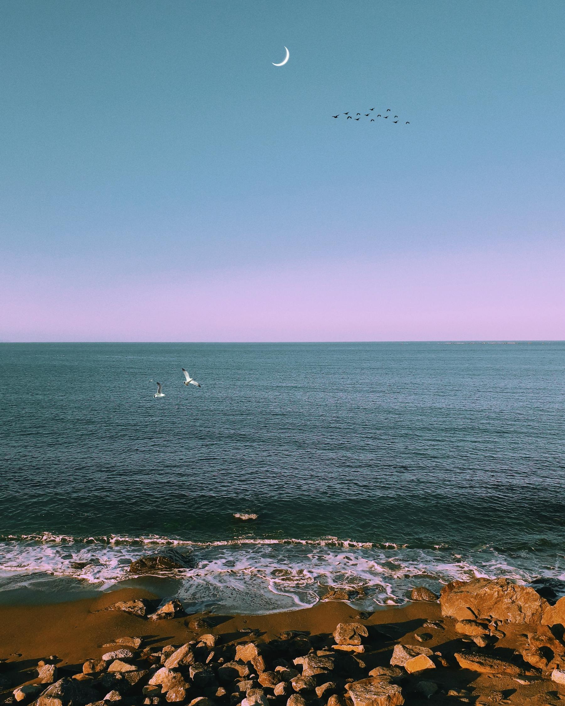 馬特波莫最新動態(tài)揭秘，引領(lǐng)前沿科技，開啟未來趨勢新篇章