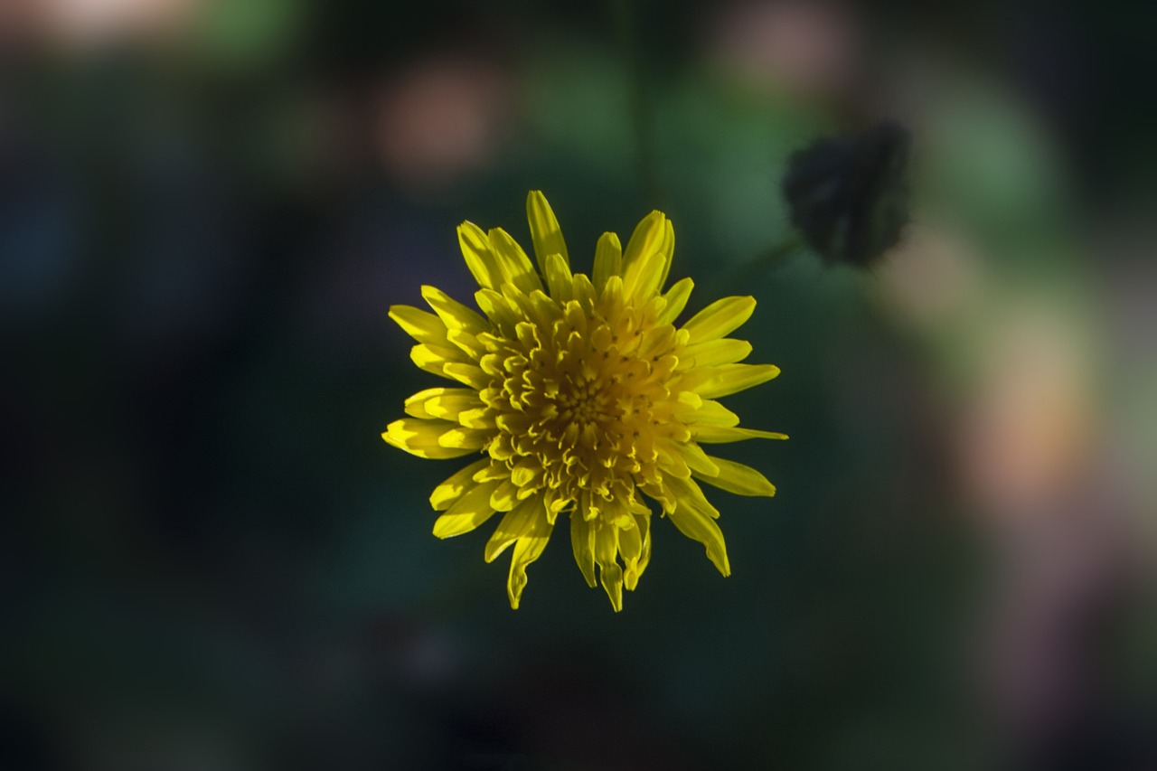 湛江仁?；▓@最新動態(tài)更新