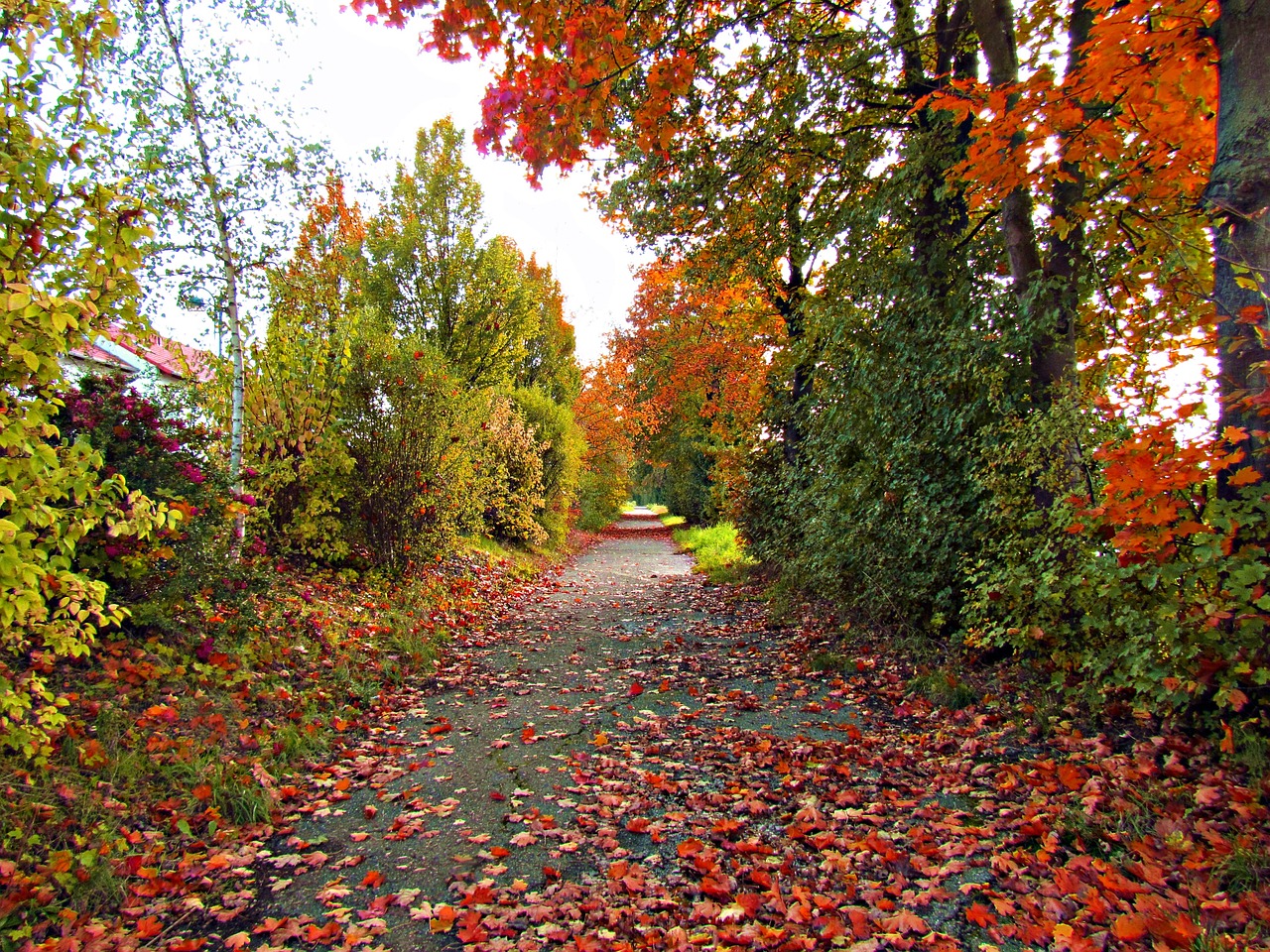 和橋招聘網(wǎng)最新招聘動態(tài)及職業(yè)發(fā)展黃金機(jī)會