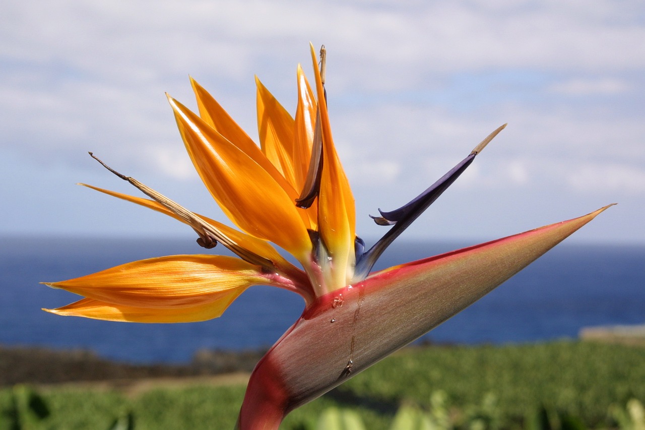 滬強(qiáng)巴黎春天最新動(dòng)態(tài)，先鋒力量重塑城市魅力