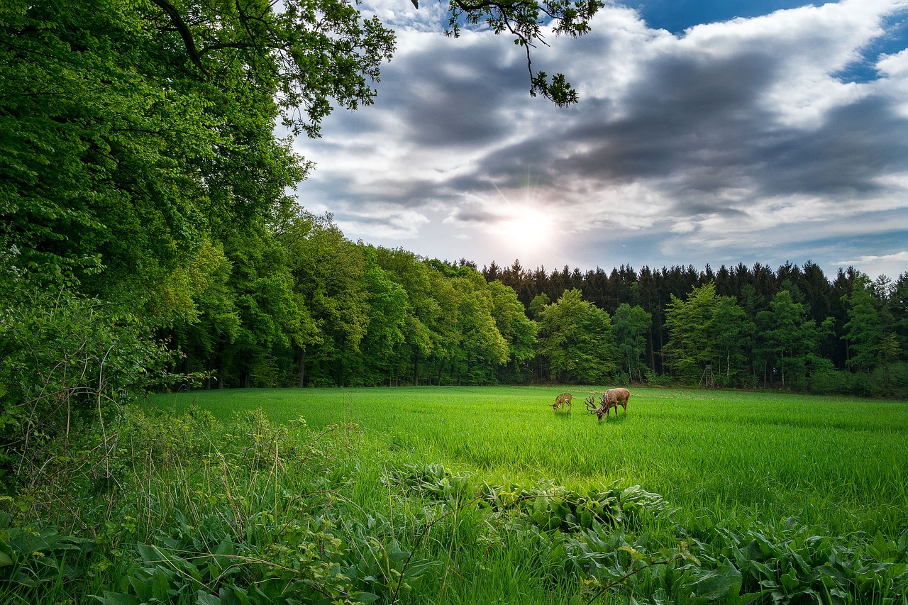永州火電廠最新消息深度解析，動態(tài)與進展報告