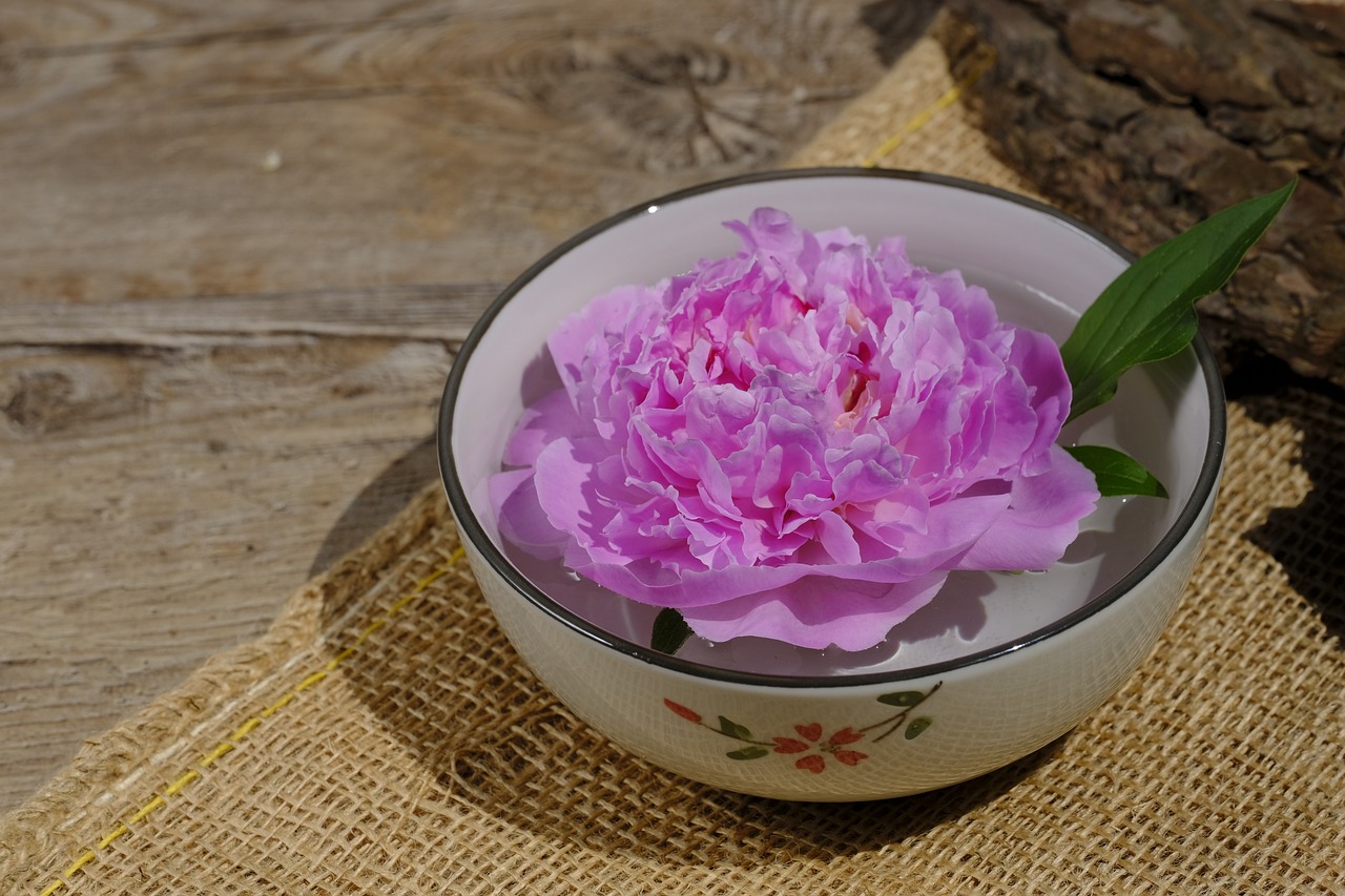 大康牧業(yè)利好消息深度解析，最新動態(tài)帶來積極前景