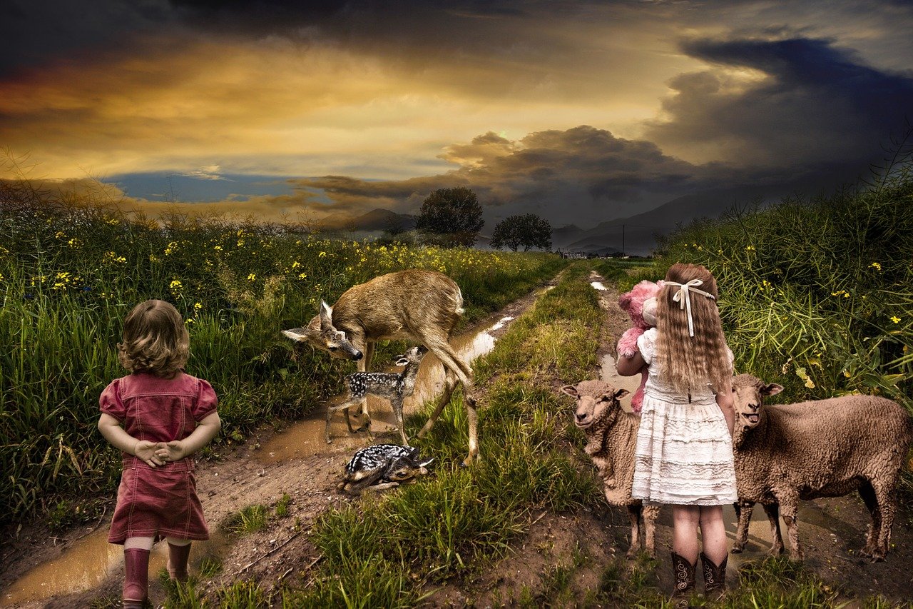 逍遙派最新章節(jié)，奇幻之旅探尋神秘世界