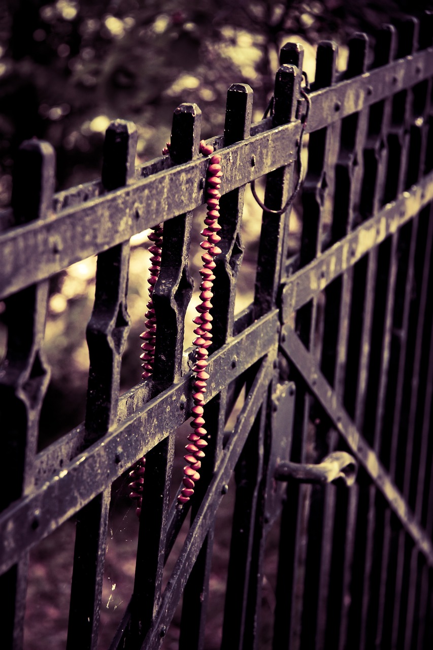 稀有金屬隕石最新探索，宇宙神秘禮物的最新消息