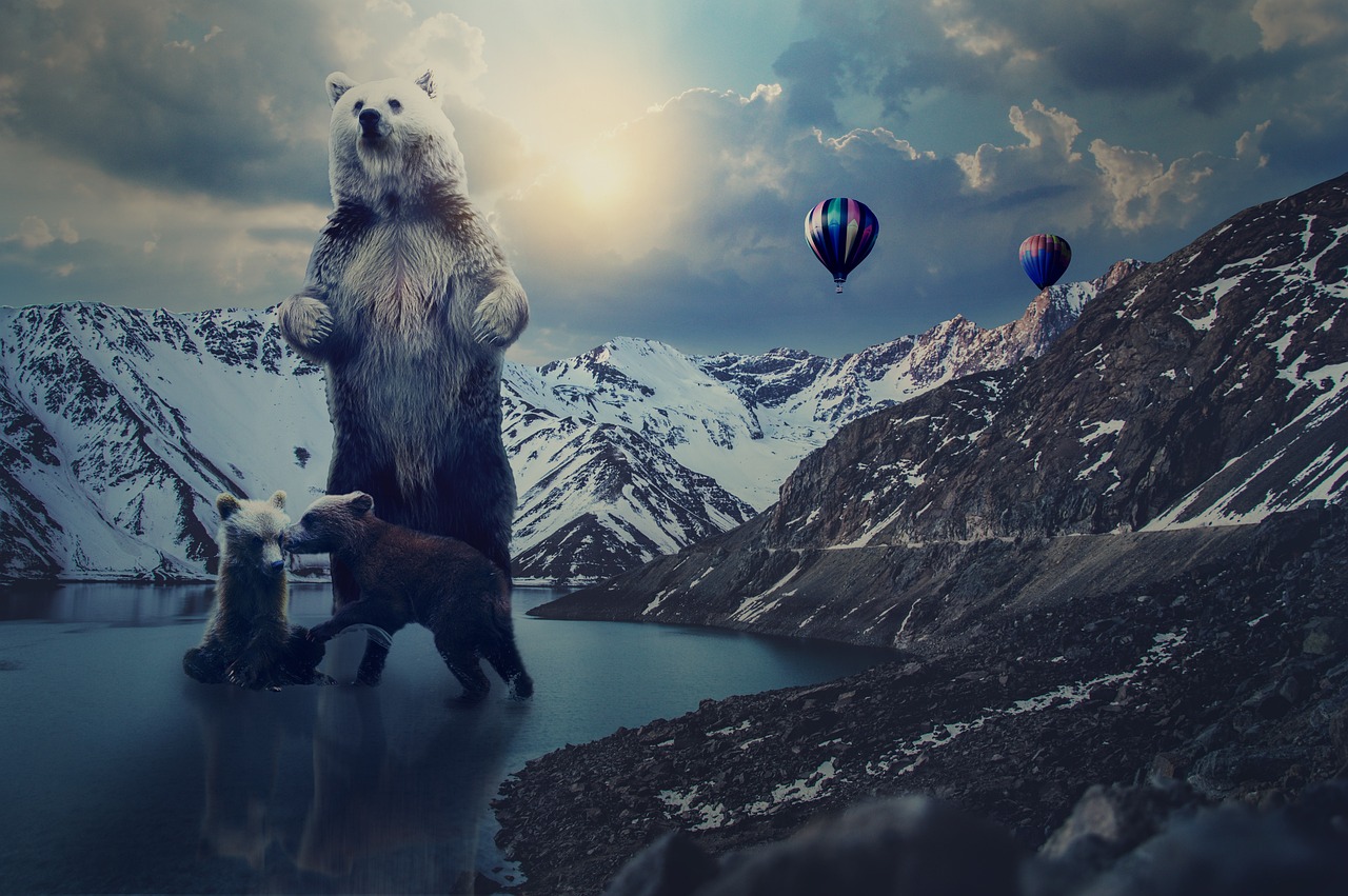 帝王雷最新版本下載，探索與體驗(yàn)之旅