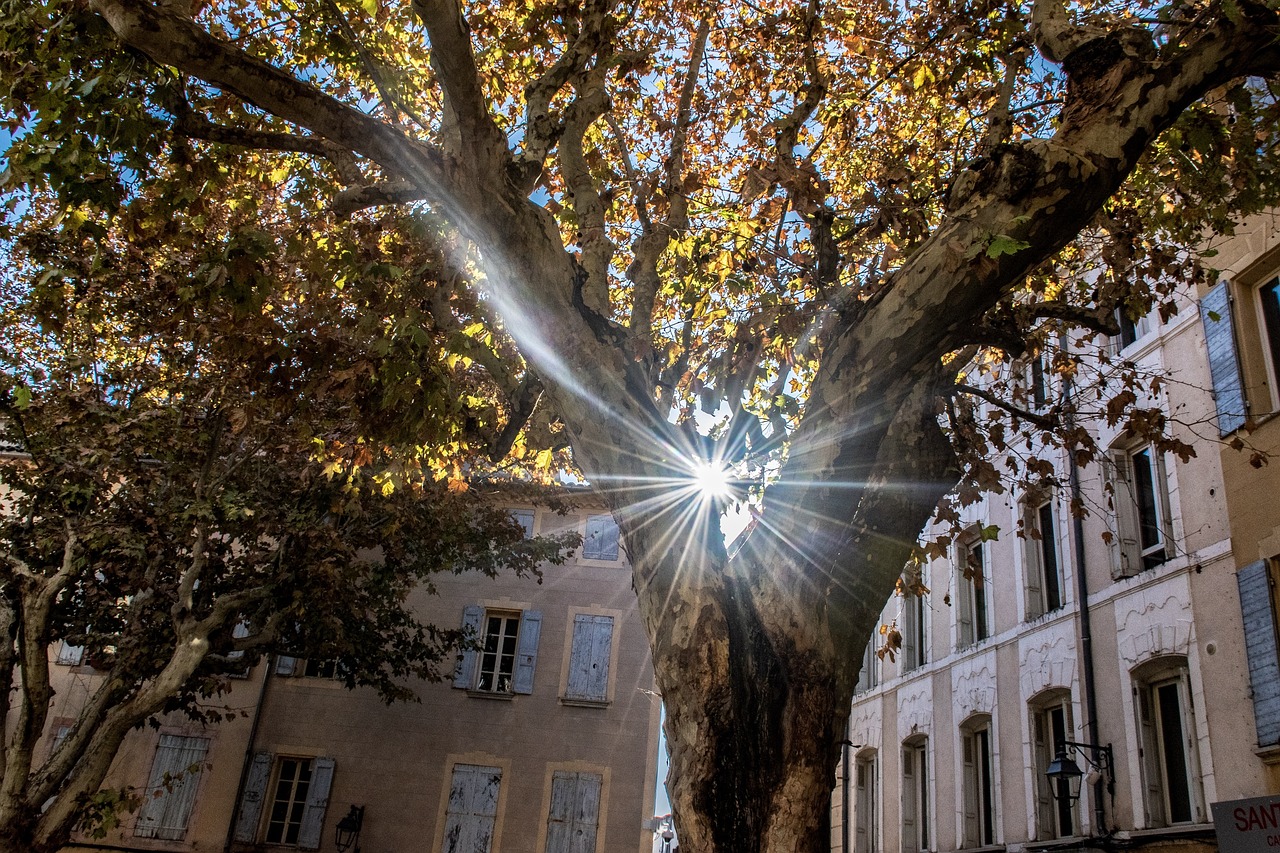 陽光大道點(diǎn)贊新時(shí)代，輝煌篇章的展現(xiàn)