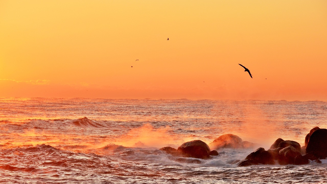 舟山出海捕魚最新招聘啟事，探索海洋的機(jī)遇與挑戰(zhàn)