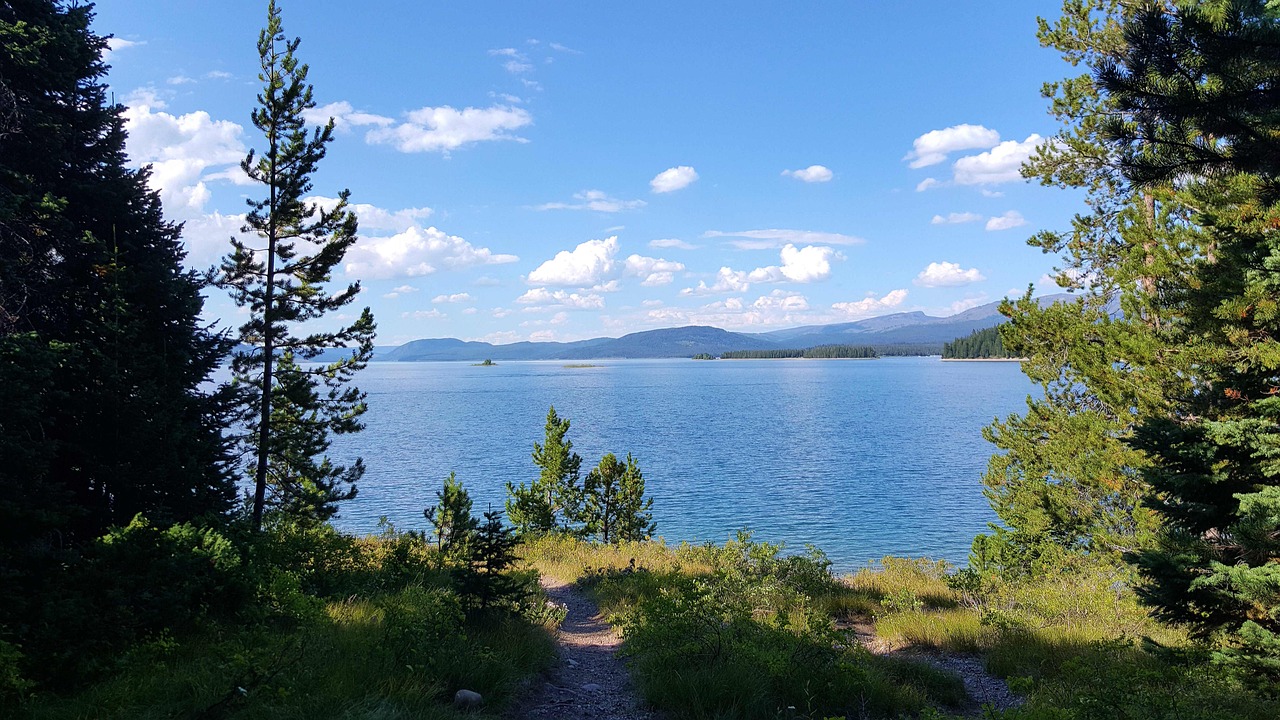 青娛樂最新地址探尋之旅，探索最新動態(tài)與娛樂盛宴的門戶