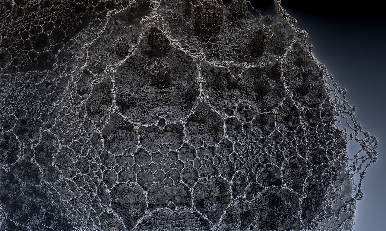 遼寧隋顯利最新動態(tài)，傳奇人物的嶄新篇章