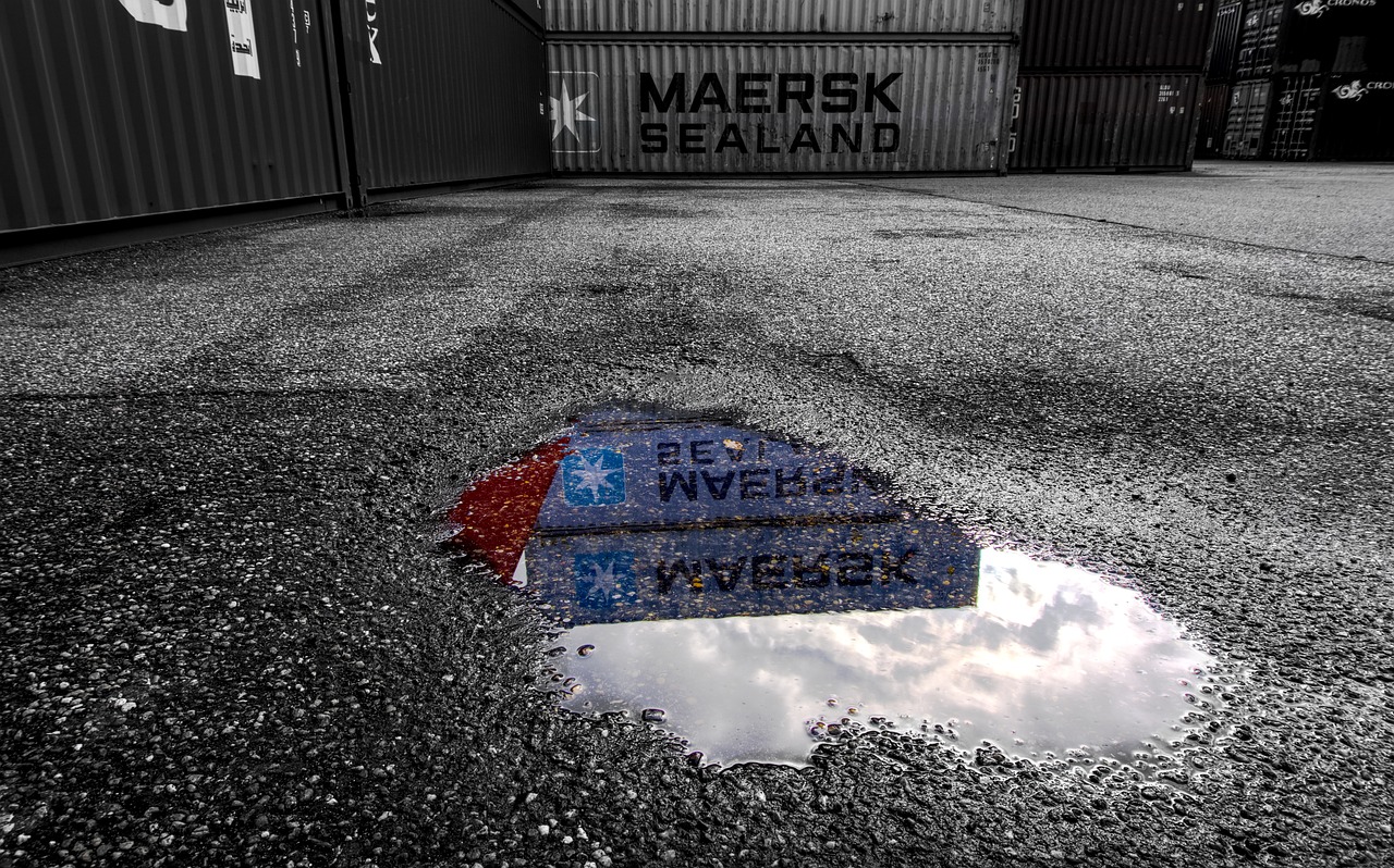 大連金州招聘網最新招聘動態(tài)深度解析及崗位信息速遞