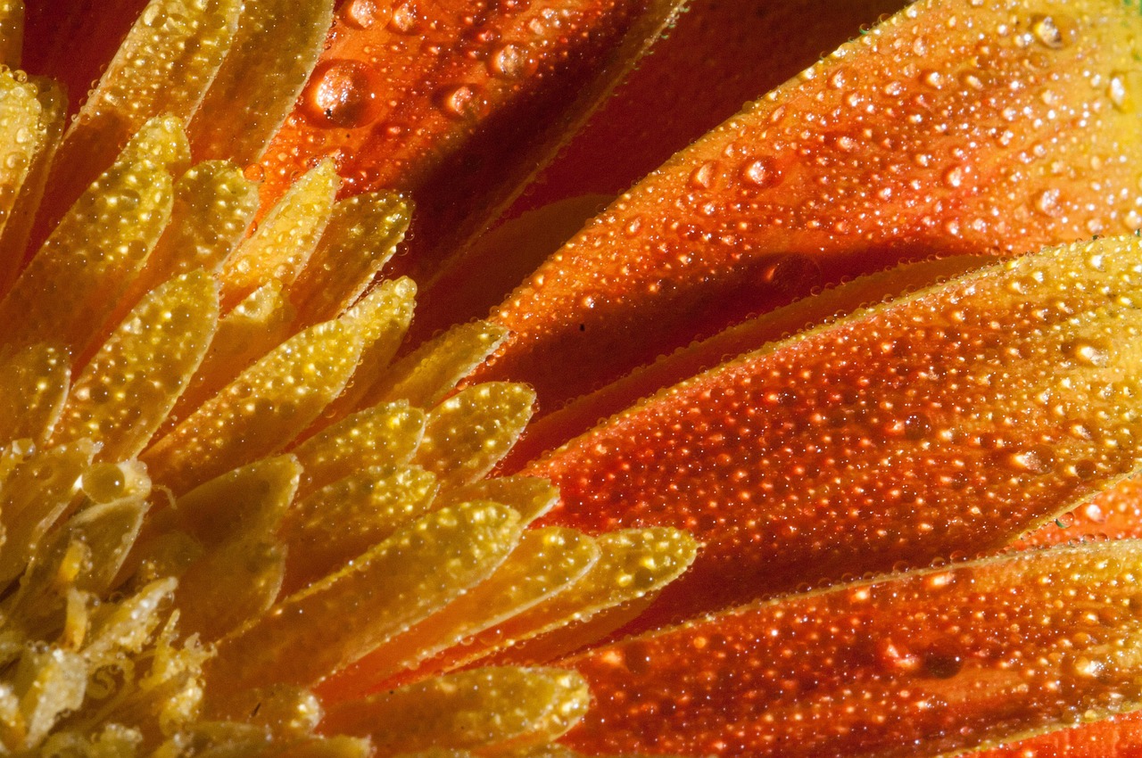 鄭州東岸尚景最新動態(tài)，城市新篇章的璀璨明珠