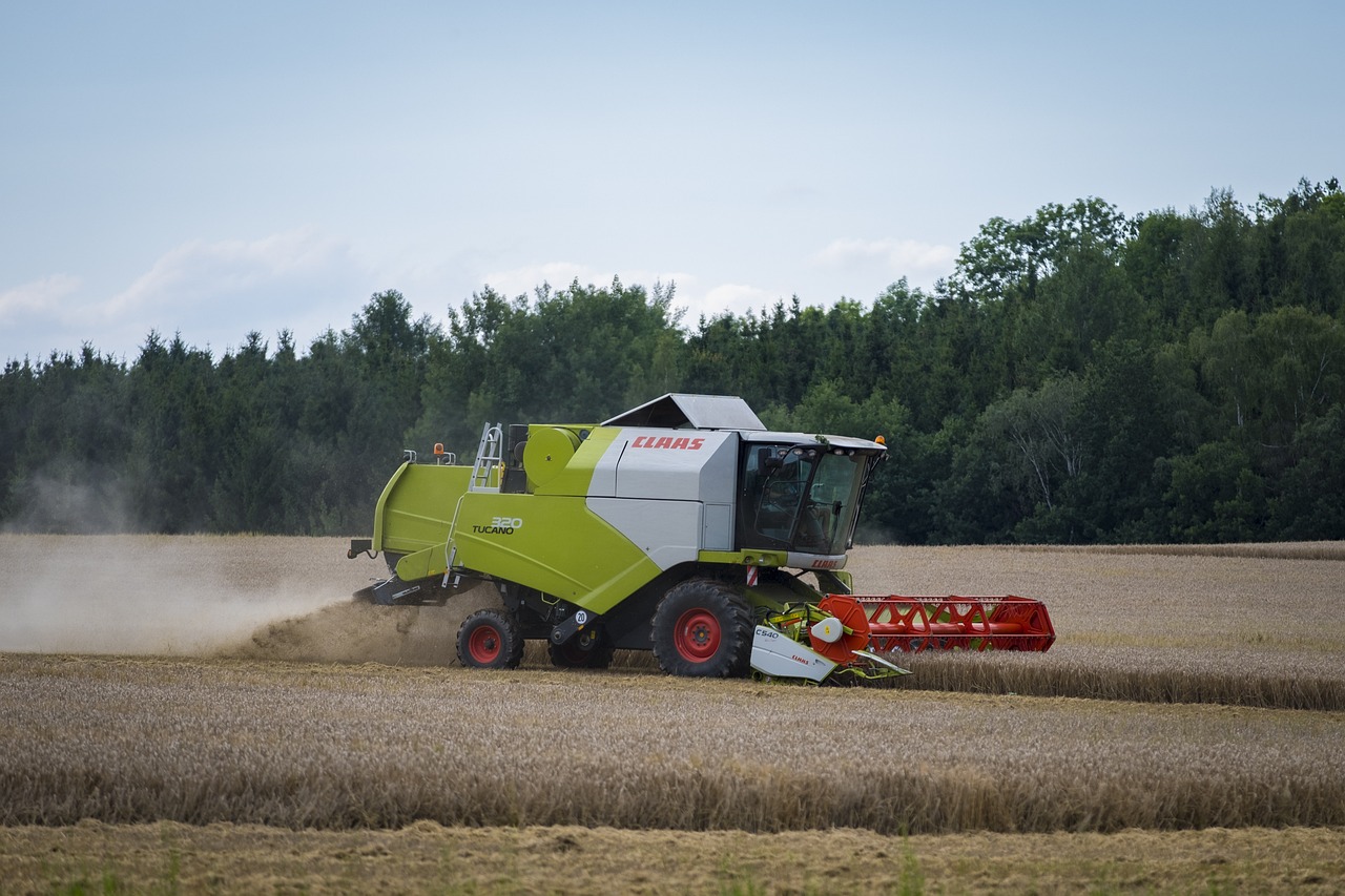 最新小吃食品機(jī)械設(shè)備，提升生產(chǎn)效率與品質(zhì)的核心利器
