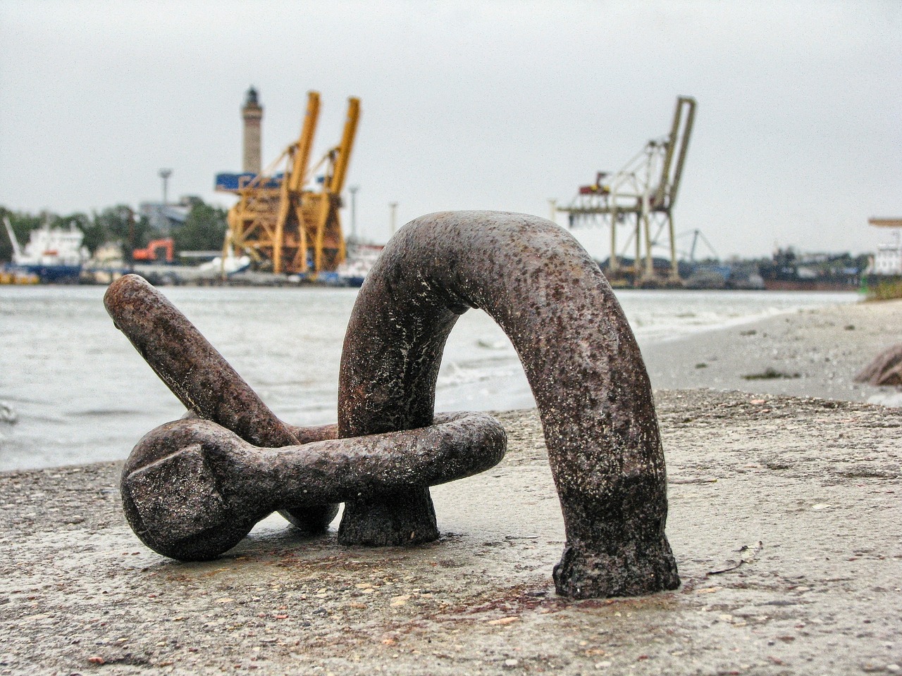 大連外經(jīng)貿(mào)最新消息概覽，最新動態(tài)與發(fā)展分析