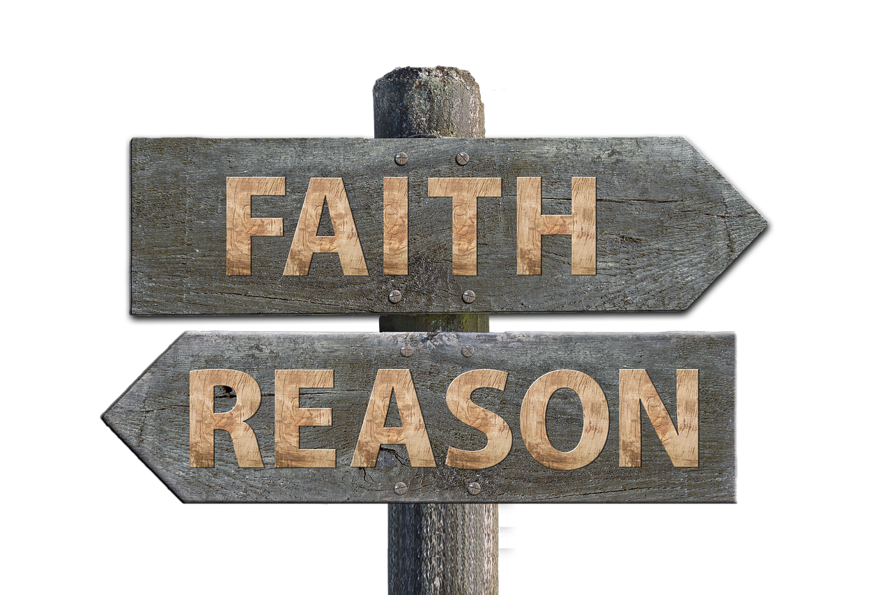 華圖教育股票最新動(dòng)態(tài)，市場(chǎng)走勢(shì)、前景展望與最新消息