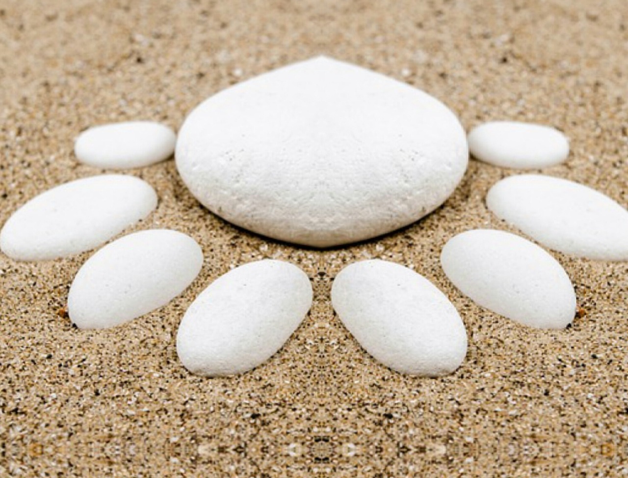 本兮官網(wǎng)最新動(dòng)態(tài)，音樂之旅全新啟程