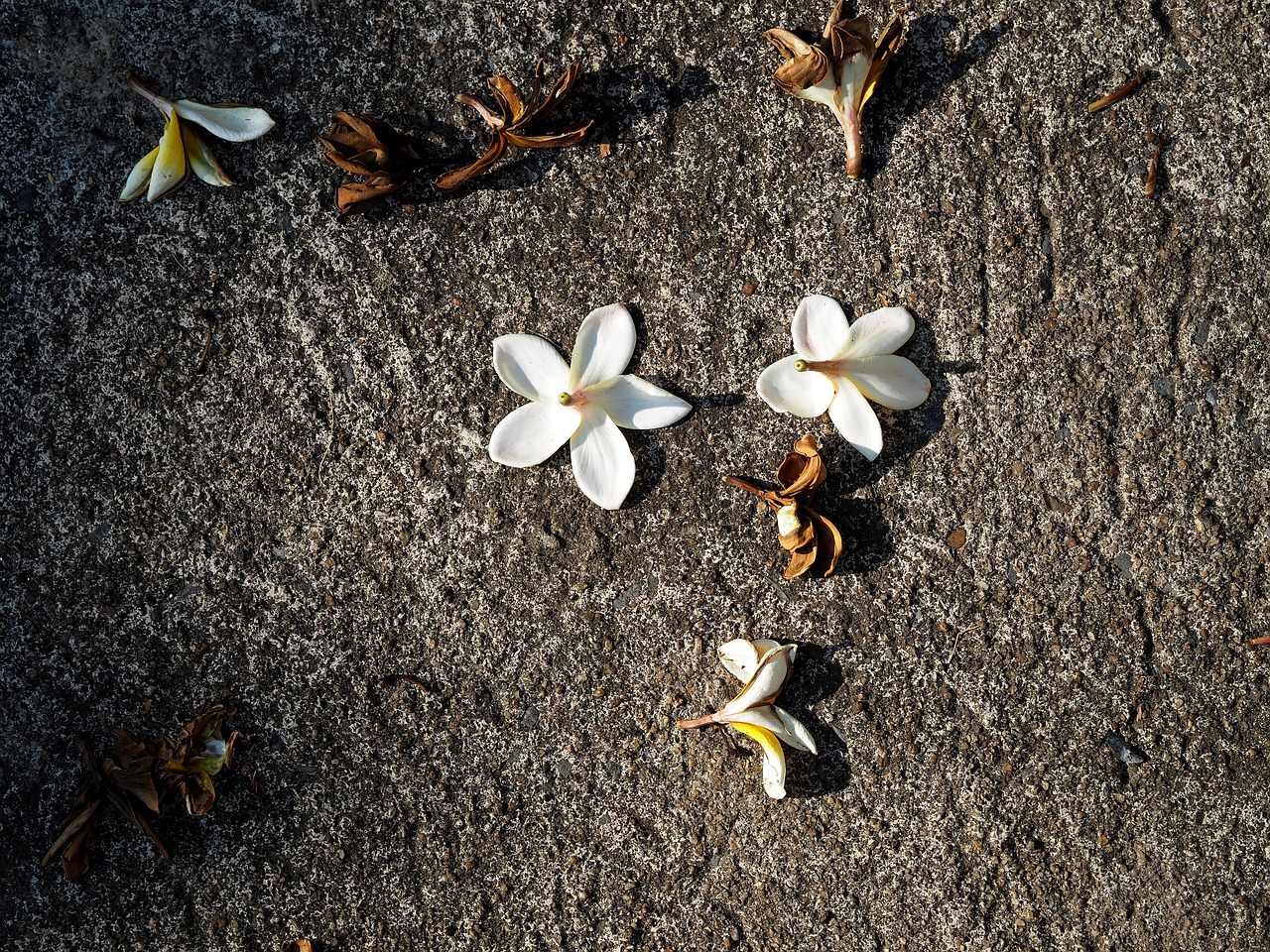 乳山民間互助最新動(dòng)態(tài)更新，最新消息匯總