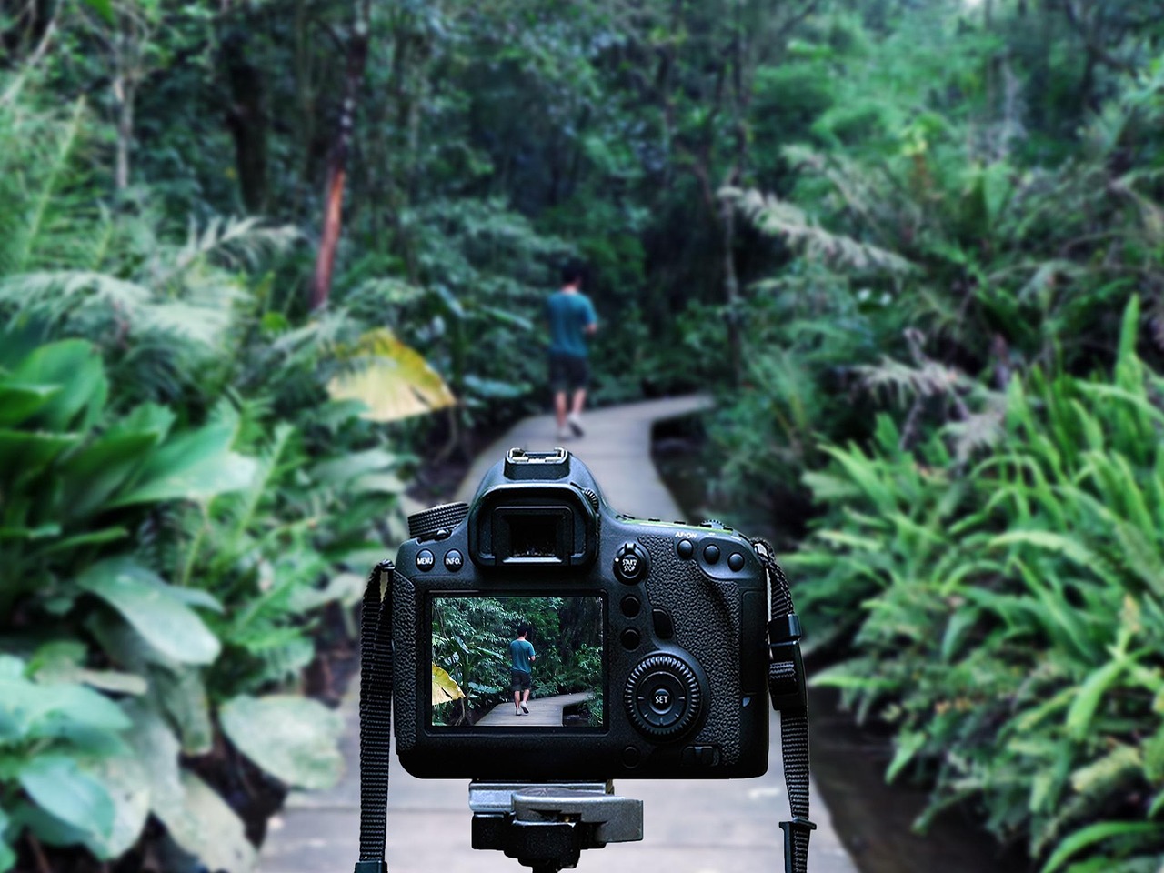 灌南高鐵站最新消息深度解析，最新動(dòng)態(tài)與進(jìn)展