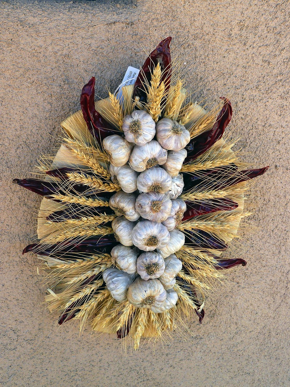 京北生態(tài)新城最新動態(tài)，綠色發(fā)展璀璨明珠的崛起