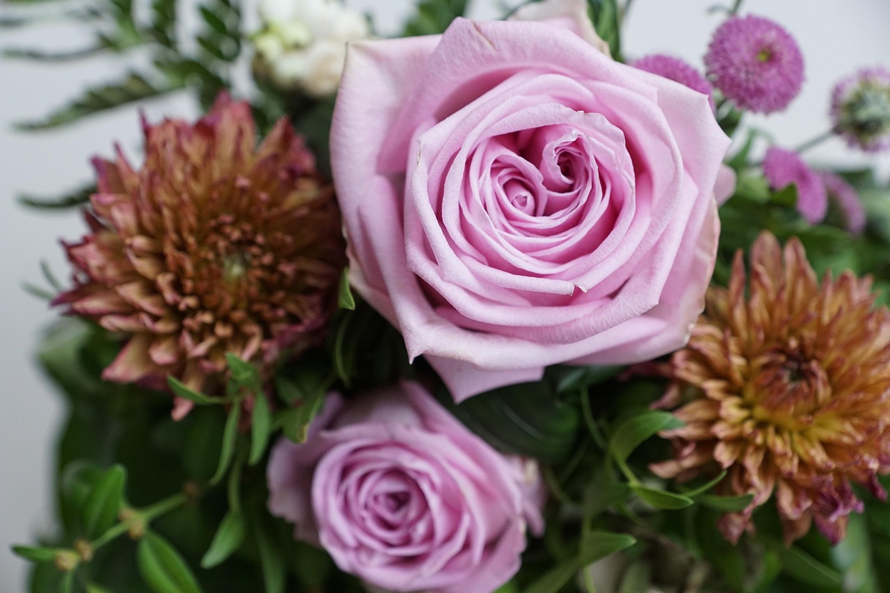 金谷美麗城最新動(dòng)態(tài)，揭開(kāi)未來(lái)繁華序幕