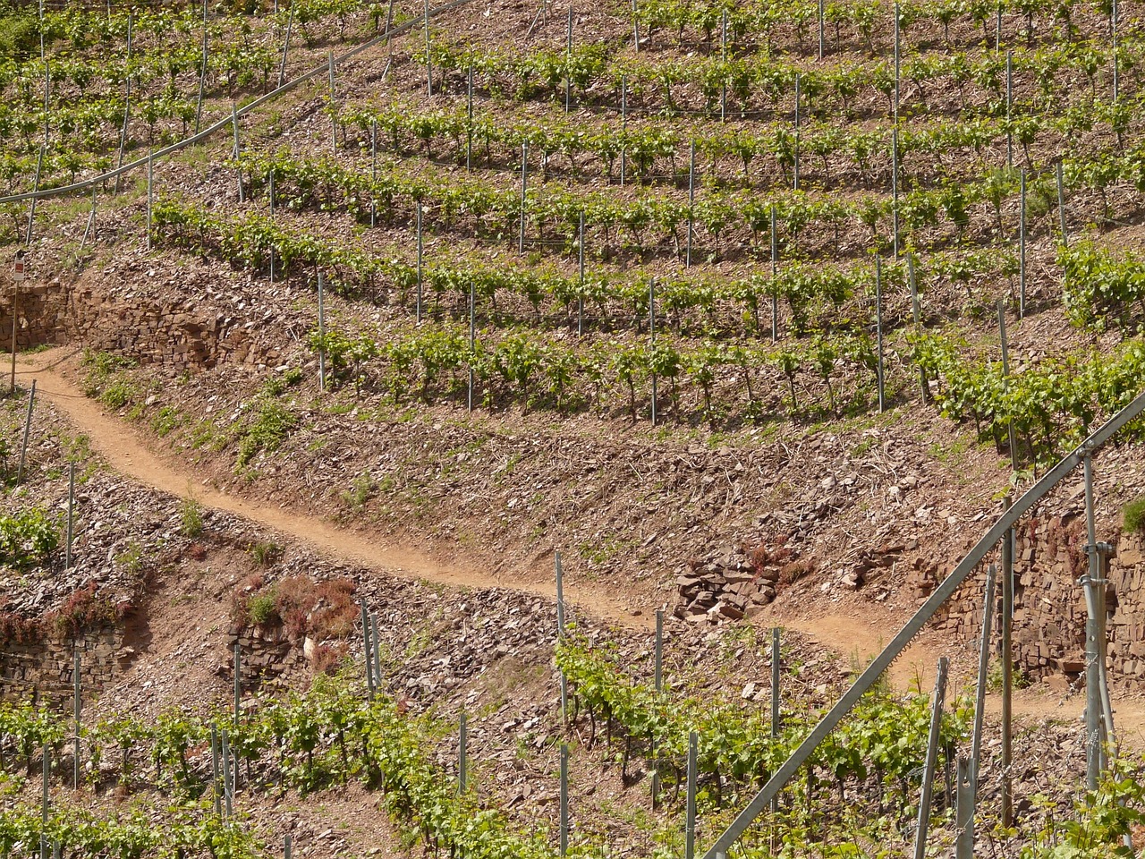 紅河谷論壇最新地址，全新探索與交流平臺(tái)的開啟