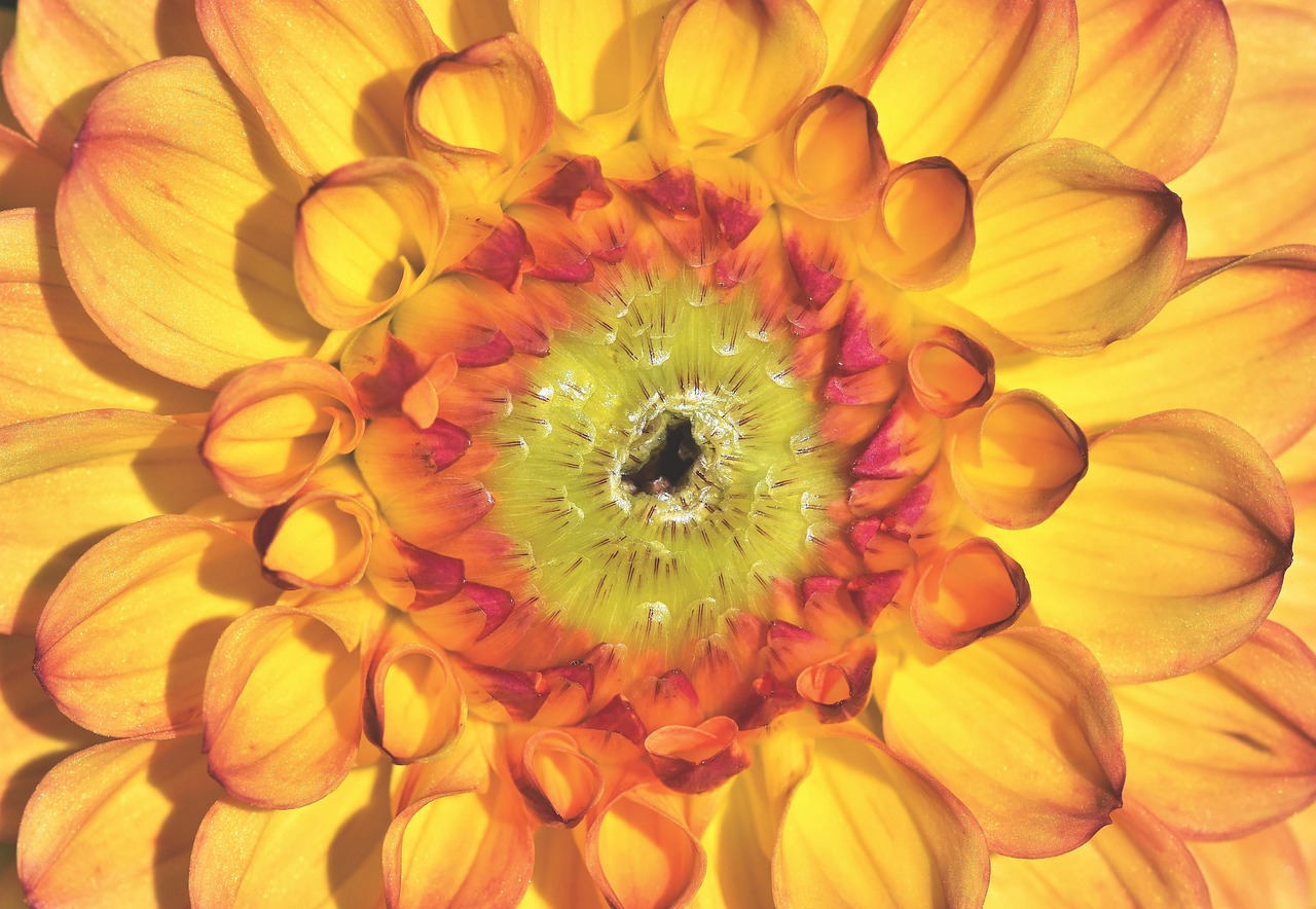 2025年1月 第10頁(yè)