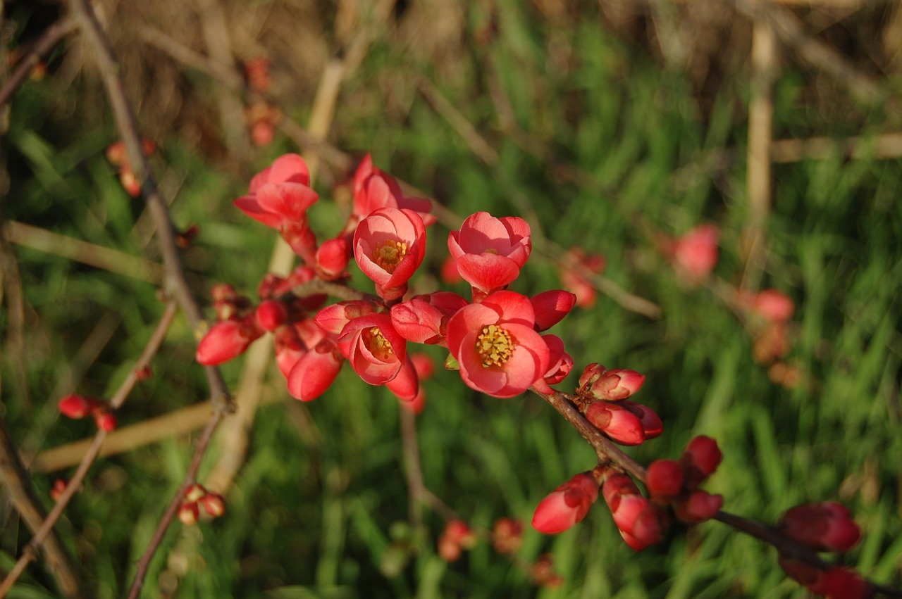 長(zhǎng)治花園歌城最新動(dòng)態(tài)報(bào)道，最新消息一覽
