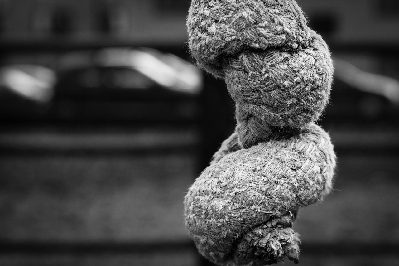 佳能RF鏡頭2023最新動(dòng)態(tài)，引領(lǐng)攝影技術(shù)革新