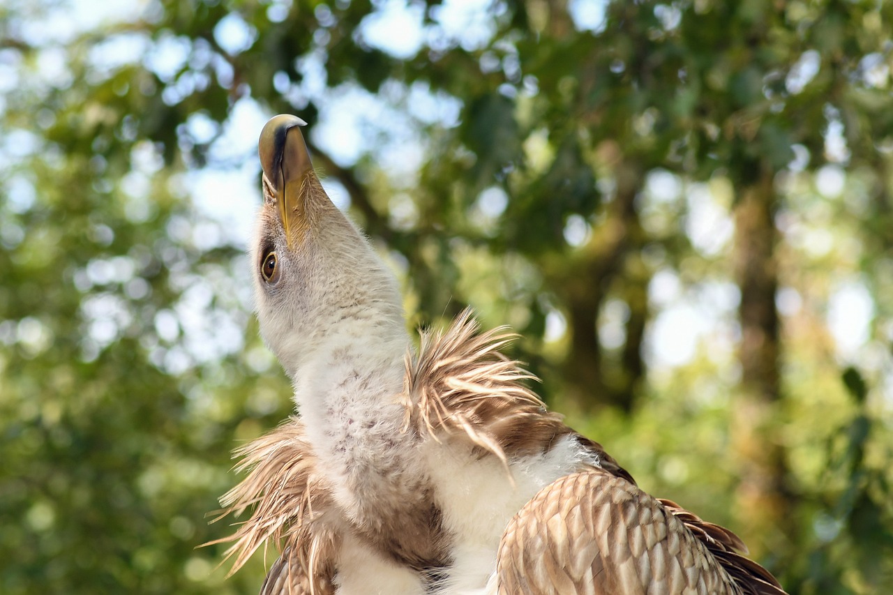 四川宜賓南溪最新房價動態(tài)及市場趨勢深度解析