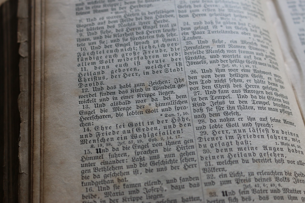 北京老虎傷人事件最新進(jìn)展深度解析與報告