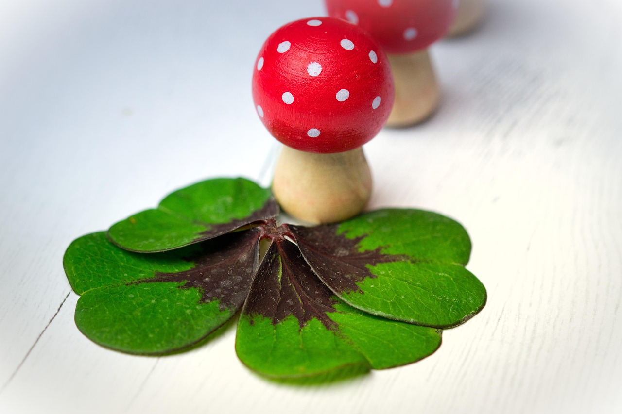 遂平城南新區(qū)蓬勃發(fā)展揭秘，最新動(dòng)態(tài)與未來(lái)展望