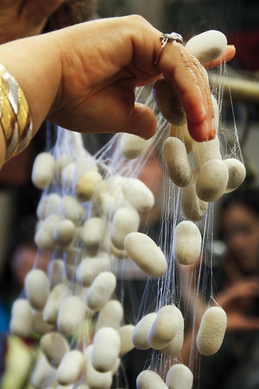 三殿村改造最新動態(tài)，重塑鄉(xiāng)村風(fēng)貌，邁向現(xiàn)代化進(jìn)程