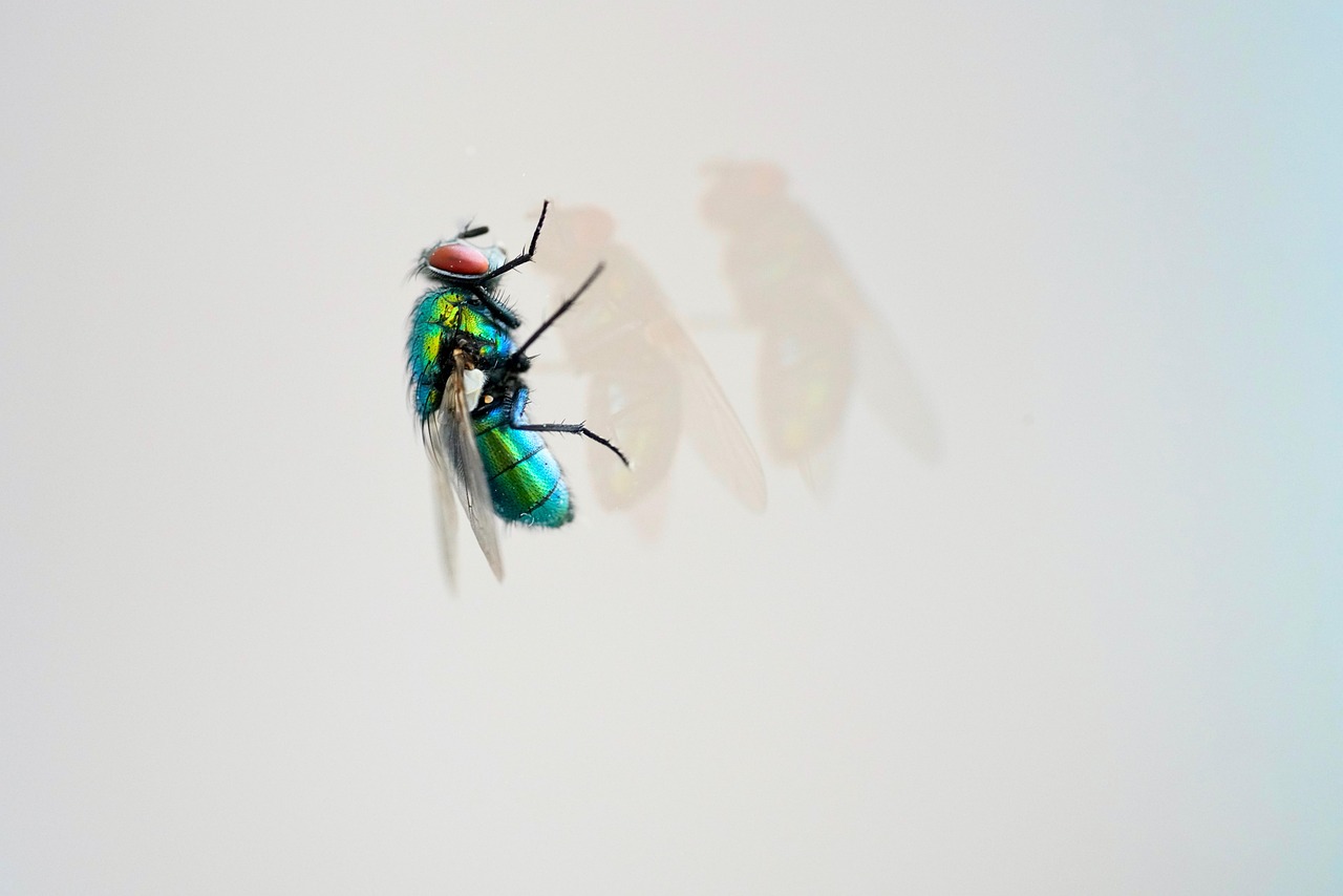 天天炫斗最新版2015年，游戲新體驗(yàn)與特色解析