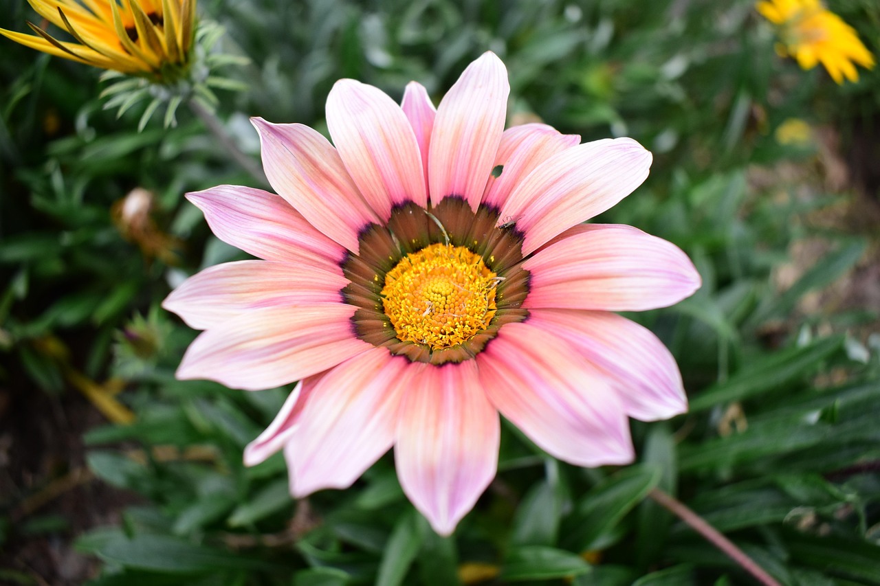 云聯(lián)惠重塑零售業(yè)格局的最新動(dòng)態(tài)報(bào)道，重塑零售業(yè)的力量與趨勢(shì)分析