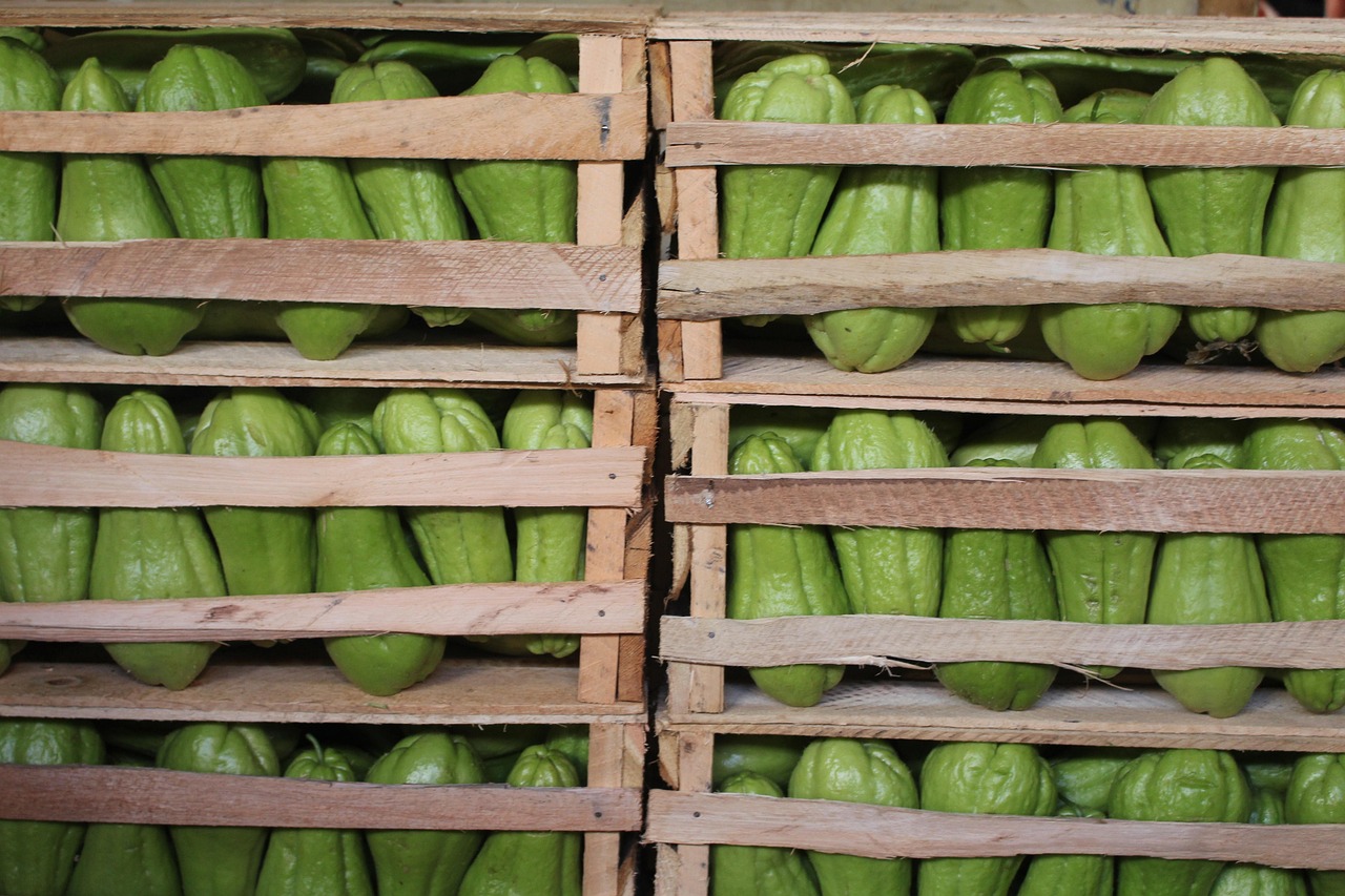 濱康綜合體最新動態(tài)，城市發(fā)展的璀璨明珠閃耀光芒