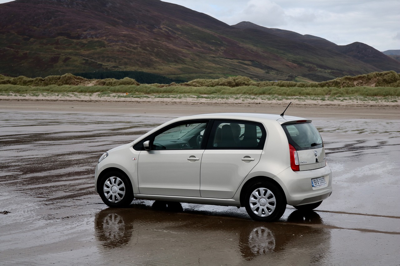 關于91師師改旅的最新動態(tài)消息更新