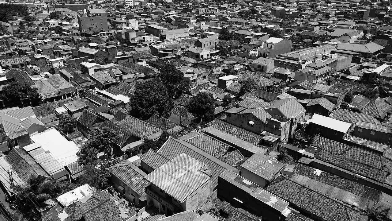 濟(jì)源零距離最新一期深度解讀城市發(fā)展的脈搏動態(tài)