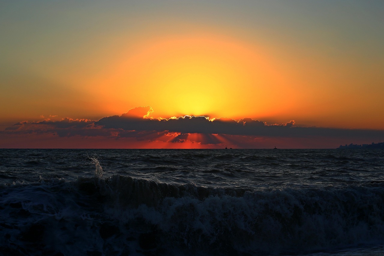 暮光之城女主最新動(dòng)態(tài)，閃耀星辰的更新揭秘