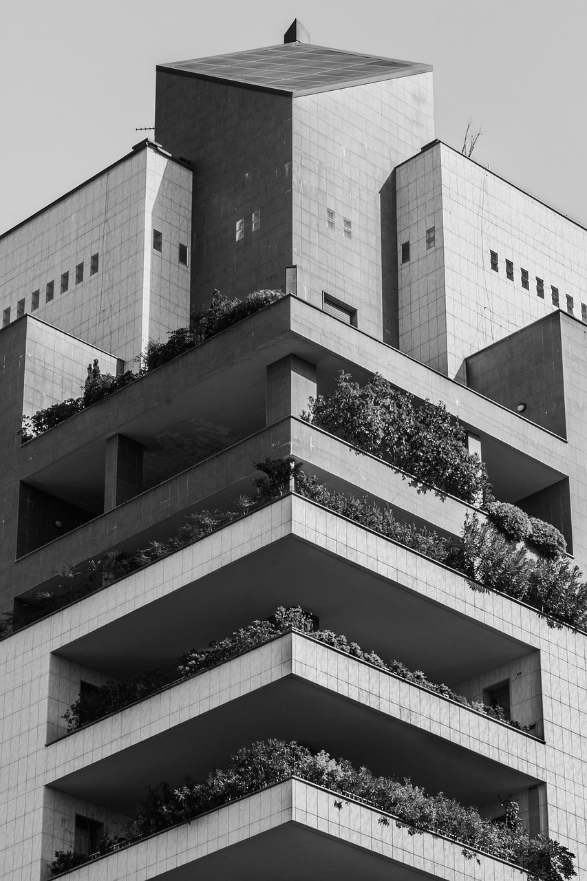 秦漢大道二期最新動態(tài)，建設(shè)進展及未來展望