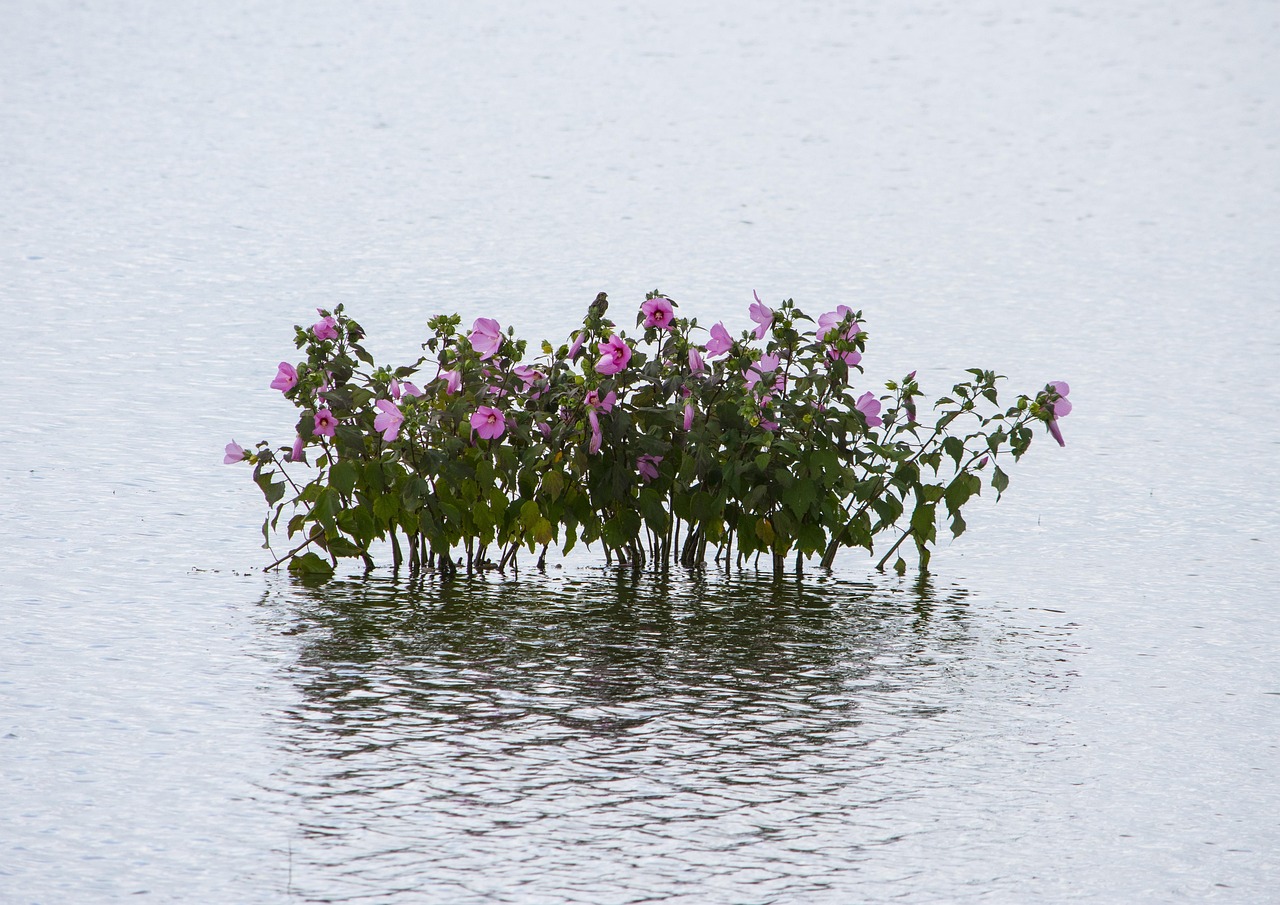 宜張高速湖南建設(shè)進(jìn)展順利，助力地方經(jīng)濟(jì)發(fā)展新動(dòng)態(tài)