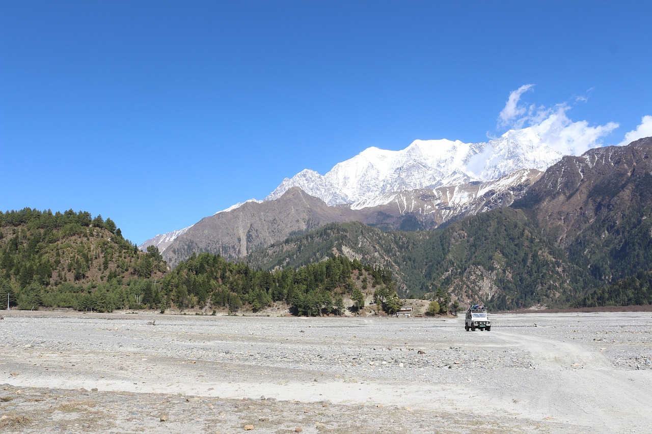 2025年2月 第12頁