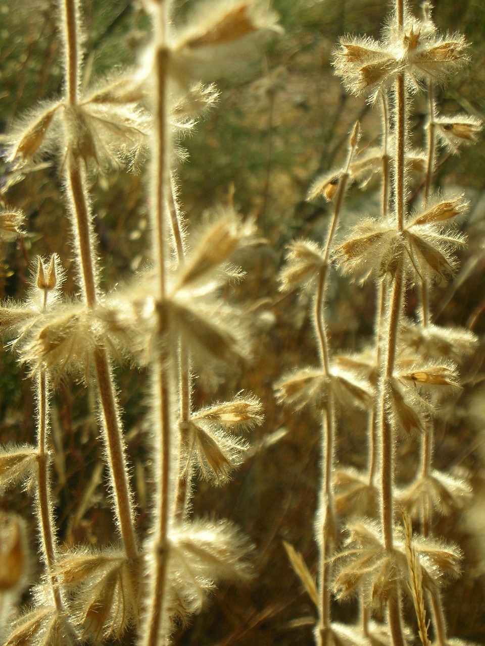 今日陽光M1最新動態(tài)，開啟電動智能出行新篇章