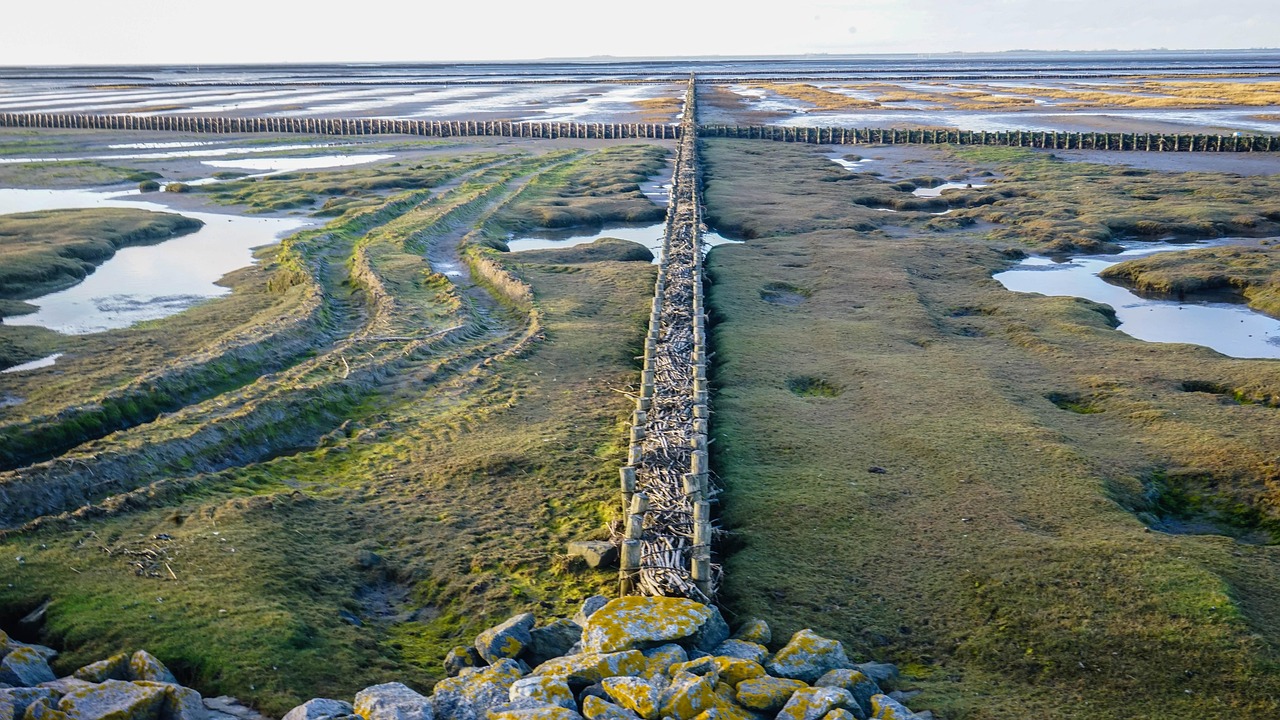 ?；◢u最新工程進度圖全景概覽