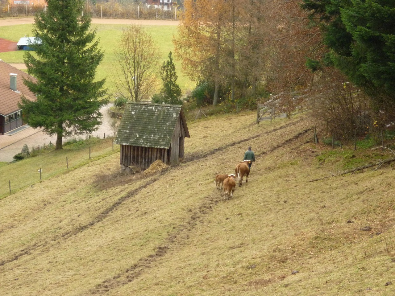 QQ農(nóng)牧場(chǎng)偷匪最新版，開(kāi)啟游戲樂(lè)趣與挑戰(zhàn)的新篇章